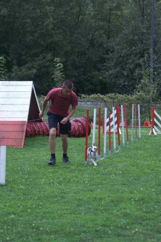agility 2011-09